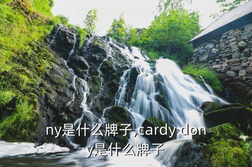dony是什么牌子,cardy dony是什么牌子