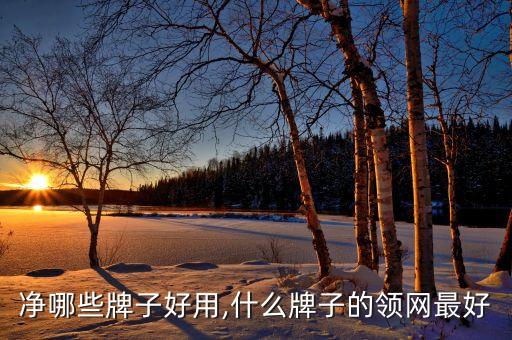 衣领净哪些牌子好用,什么牌子的领网最好?