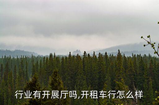 行业有开展厅吗,开租车行怎么样