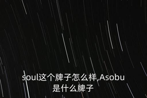 absoul这个牌子怎么样,Asobu是什么牌子?