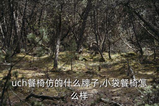 pouch餐椅仿的什么牌子,小袋餐椅怎么样?