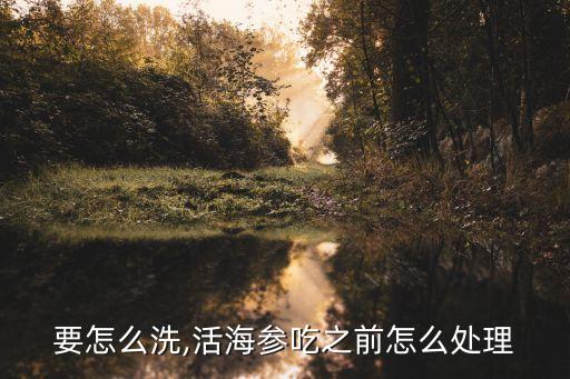 海参要怎么洗,活海参吃之前怎么处理?