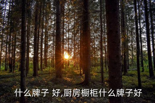  什么牌子 好,厨房橱柜什么牌子好