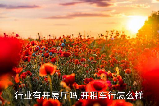 租车行业有开展厅吗,开租车行怎么样
