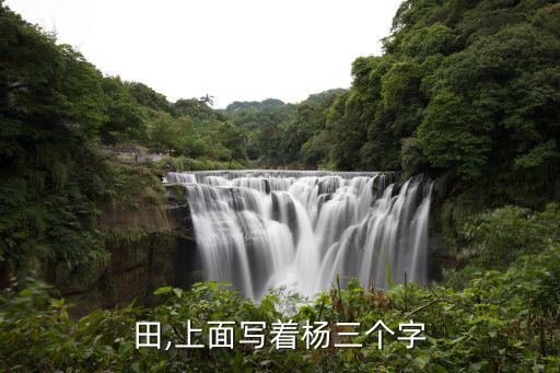 田,上面写着杨三个字