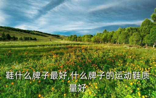 鞋什么牌子最好,什么牌子的运动鞋质量好