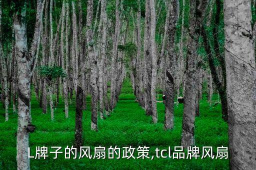 TCL牌子的风扇的政策,tcl品牌风扇
