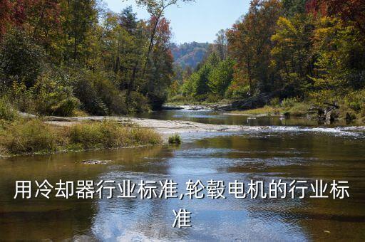 用冷却器行业标准,轮毂电机的行业标准