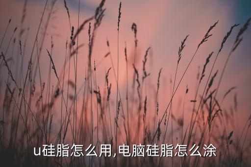 u硅脂怎么用,电脑硅脂怎么涂