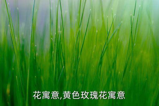 花寓意,黄色玫瑰花寓意
