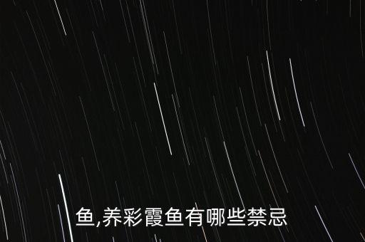 彩霞鱼,养彩霞鱼有哪些禁忌?