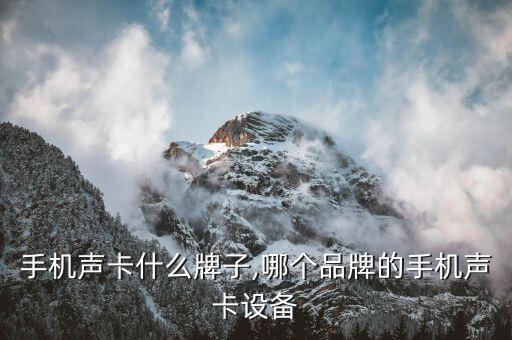 安卓手机声卡什么牌子,哪个品牌的手机声卡设备?