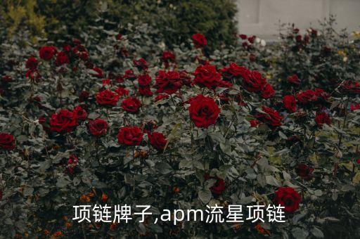 流星项链牌子,apm流星项链