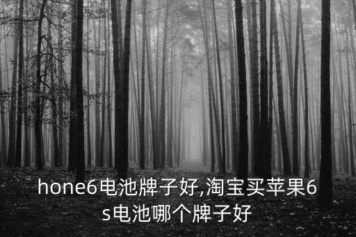 iphone6电池牌子好,淘宝买苹果6s电池哪个牌子好?