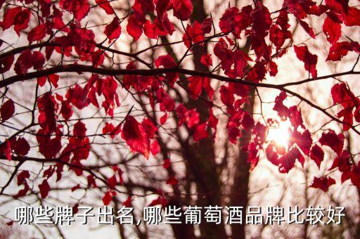 红酒哪些牌子出名,哪些葡萄酒品牌比较好?