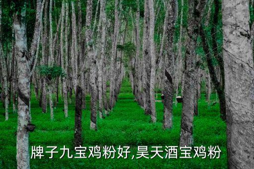 那个牌子九宝鸡粉好,昊天酒宝鸡粉