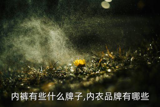 情侣内裤有些什么牌子,内衣品牌有哪些?