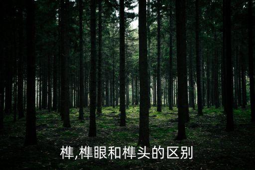 夹头榫,榫眼和榫头的区别