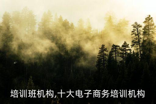 电商培训班机构,十大电子商务培训机构