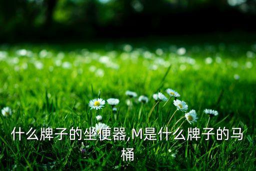 M是什么牌子的坐便器,M是什么牌子的马桶?