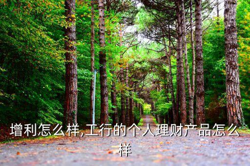 个人增利怎么样,工行的个人理财产品怎么样?