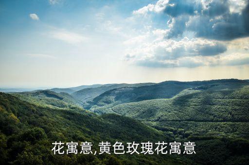 花寓意,黄色玫瑰花寓意