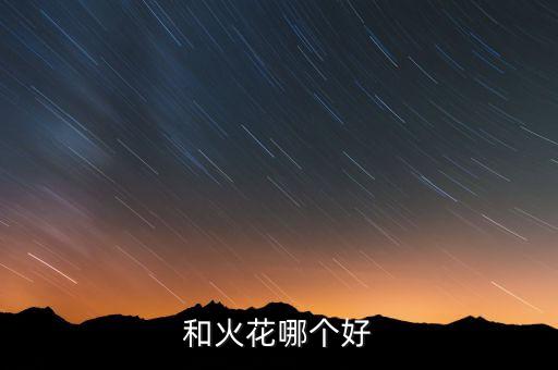 万伟和火花哪个好?
