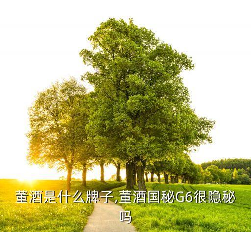 董酒是什么牌子,董酒国秘G6很隐秘吗