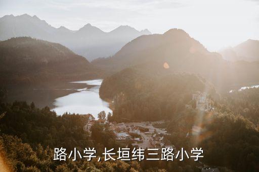 纬三路小学,长垣纬三路小学