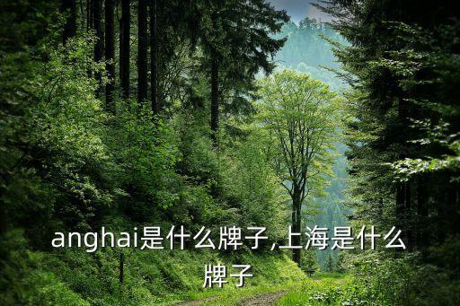 shanghai是什么牌子,上海是什么牌子?