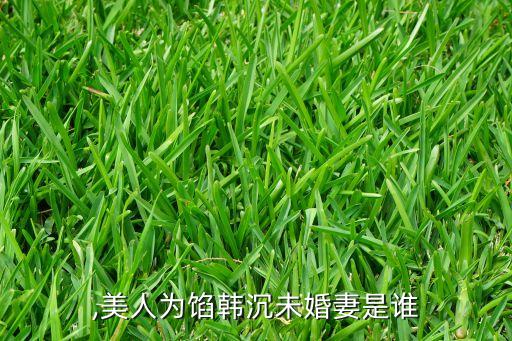 ,美人为馅韩沉未婚妻是谁