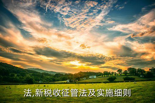 税收法,新税收征管法及实施细则