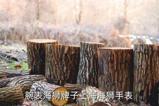 男士腕表海狮牌子上海海狮手表