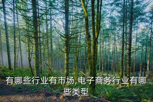 电商有哪些行业有市场,电子商务行业有哪些类型?