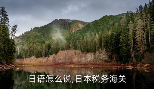 日语怎么说,日本税务海关