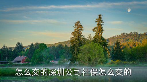 怎么交的深圳公司社保怎么交的