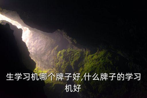 生学习机哪个牌子好,什么牌子的学习机好