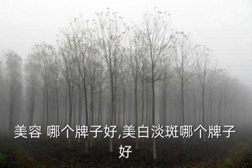 祛斑美容 哪个牌子好,美白淡斑哪个牌子好?