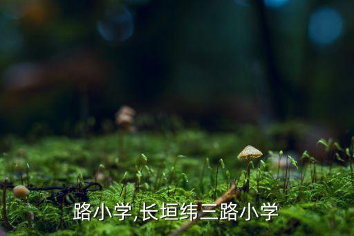 路小学,长垣纬三路小学