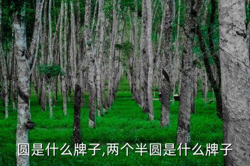 圆是什么牌子,两个半圆是什么牌子