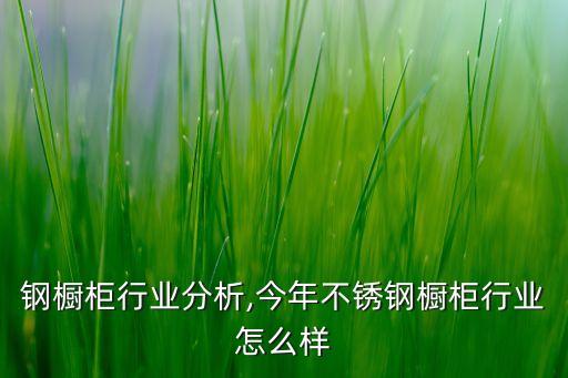 钢橱柜行业分析,今年不锈钢橱柜行业怎么样