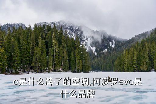 evo是什么牌子的空调,阿波罗evo是什么品牌?