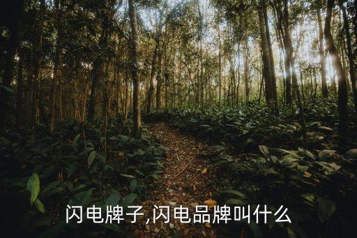 日本闪电牌子,闪电品牌叫什么?