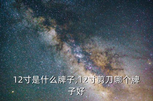 12寸是什么牌子,12寸剪刀哪个牌子好