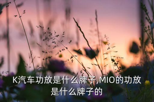 K汽车功放是什么牌子,MIO的功放是什么牌子的