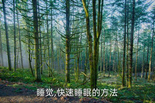 睡觉,快速睡眠的方法