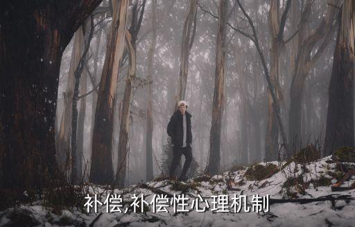 感觉补偿,补偿性心理机制