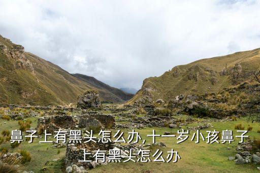鼻子上有黑头怎么办,十一岁小孩鼻子上有黑头怎么办
