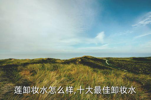 美宝莲卸妆水怎么样,十大最佳卸妆水