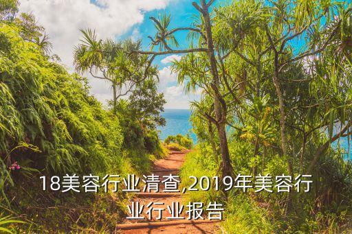 2018美容行业清查,2019年美容行业行业报告